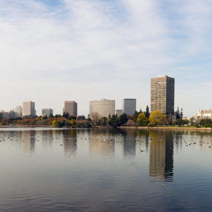 베트남에서 최고의 비즈니스 기회