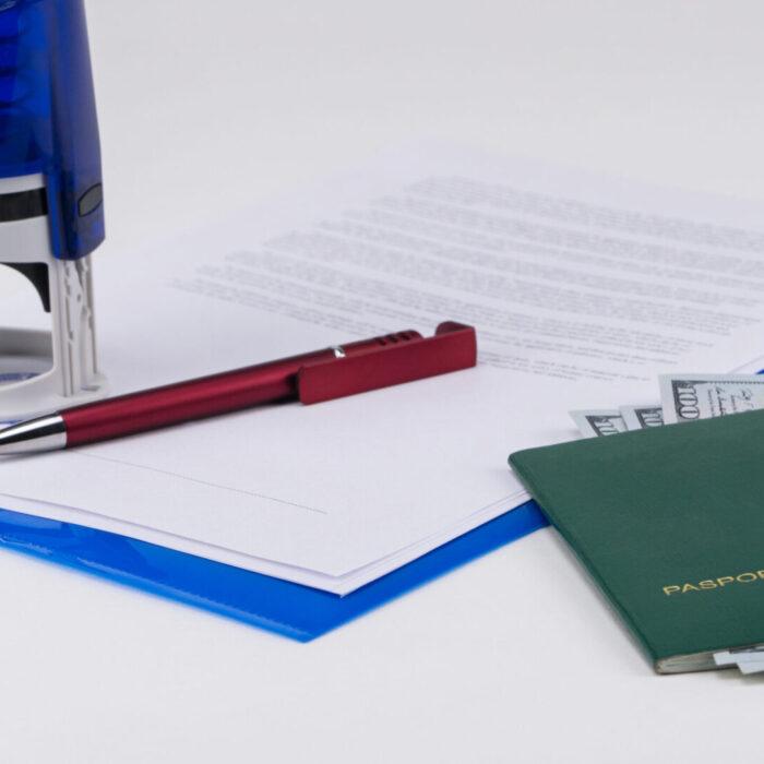 말레이시아 PVP 비자(Professional Visit Pass)