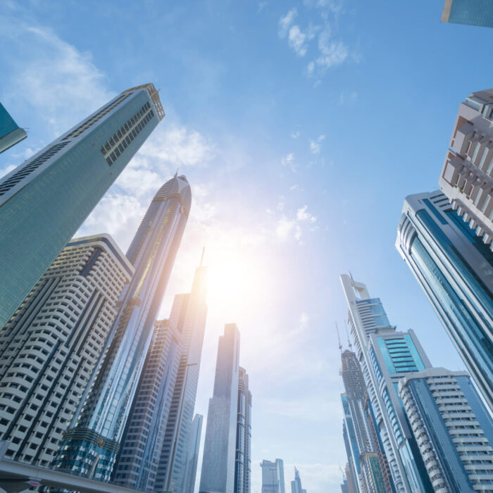 두바이 프리존 차이