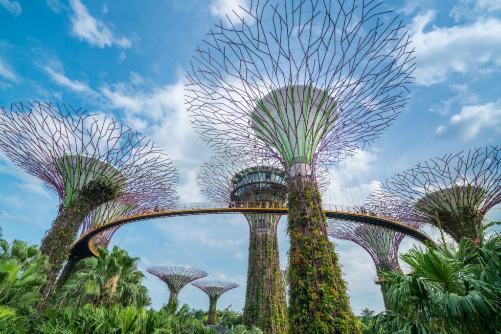 싱가포르 이민 - Premia TNC