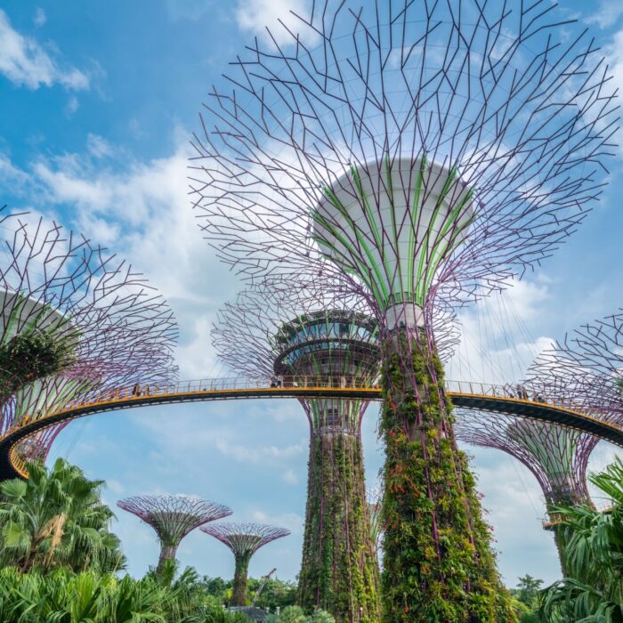 싱가포르 이민 - Premia TNC