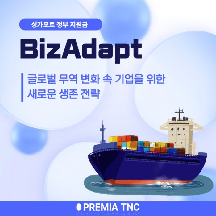 싱가포르 정부지원금