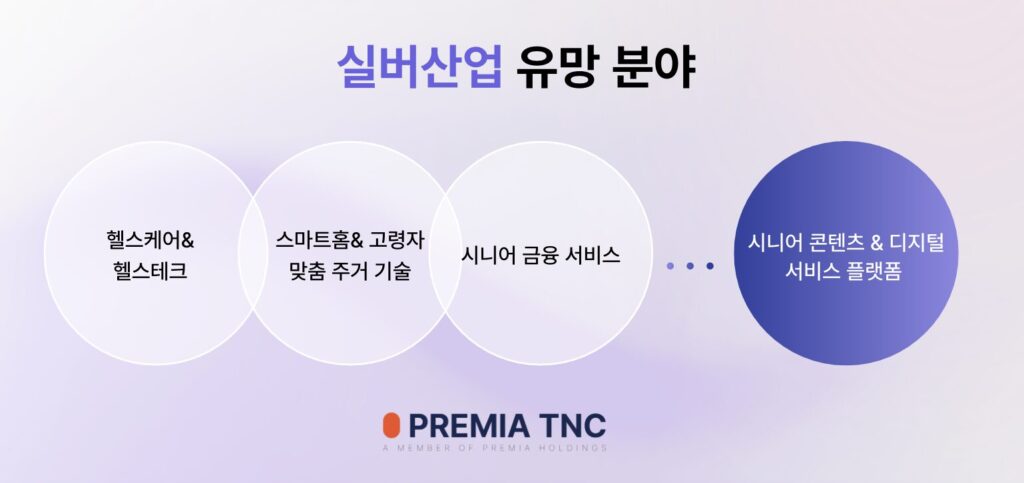 싱가포르 실버산업